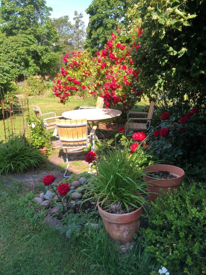Susannes B&B Frebbenby Dış mekan fotoğraf